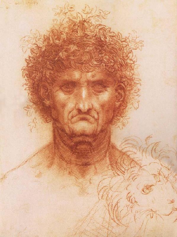 LEONARDO da Vinci Buste one frontal to seeing man and head of a Lowen